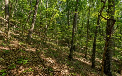 L11 Mattie Lane Blairsville GA 30512