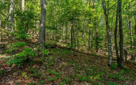 L11 Mattie Lane Blairsville GA 30512