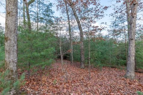 Lot 8 B & W Ranch Road Lot 8 Blairsville GA 30512