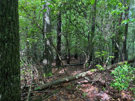 928 Fir Lane Ellijay GA 30540