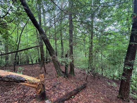 928 Fir Lane Ellijay GA 30540