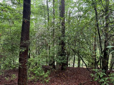 928 Fir Lane Ellijay GA 30540