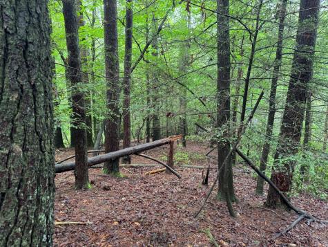 928 Fir Lane Ellijay GA 30540