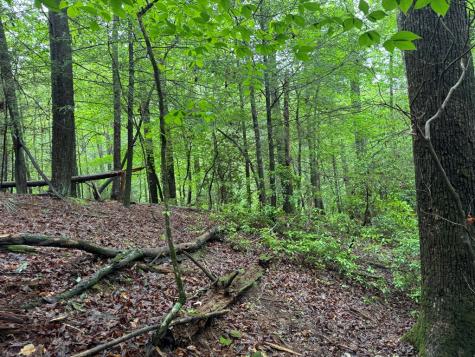 928 Fir Lane Ellijay GA 30540