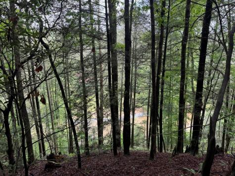 928 Fir Lane Ellijay GA 30540