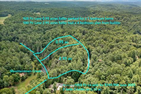 928 Fir Lane Ellijay GA 30540