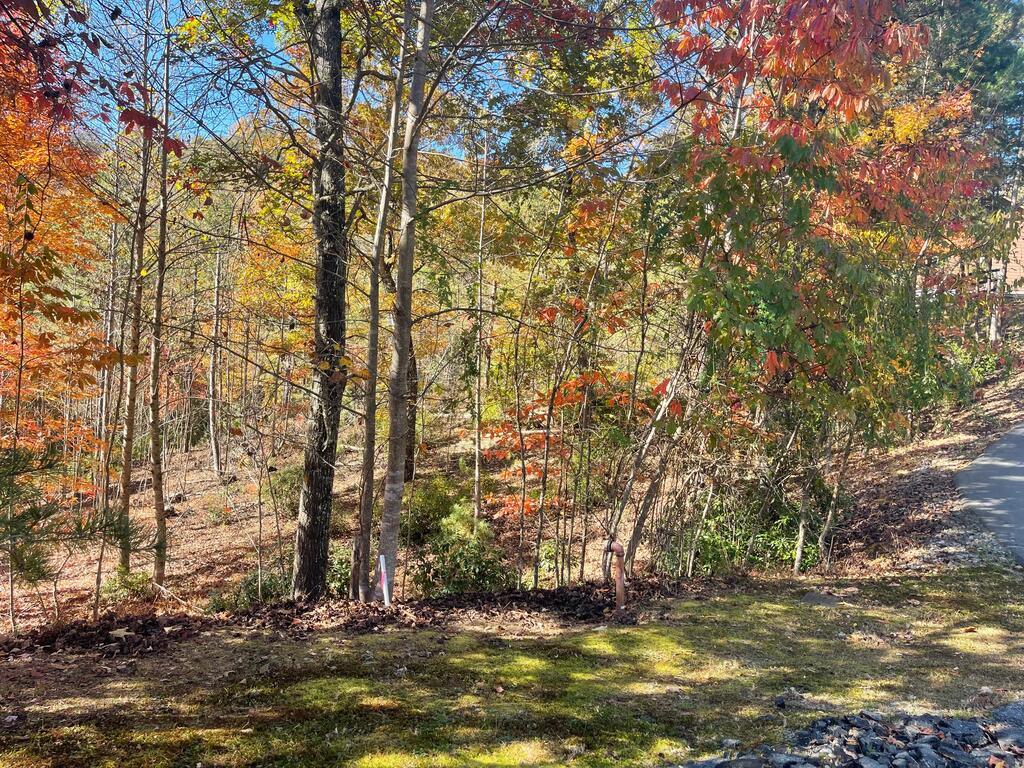 Lot #50 Ray Drive Blairsville GA 30512