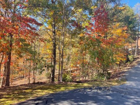 Lot #50 Ray Drive Blairsville GA 30512