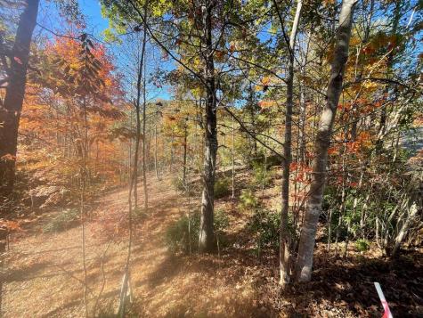 Lot #50 Ray Drive Blairsville GA 30512