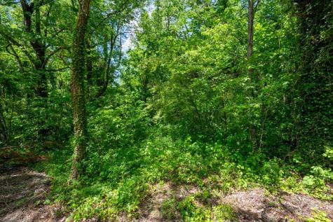 2471 Highway 52 Chatsworth GA 30705