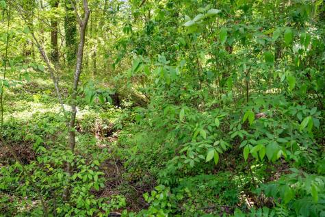 2471 Highway 52 Chatsworth GA 30705