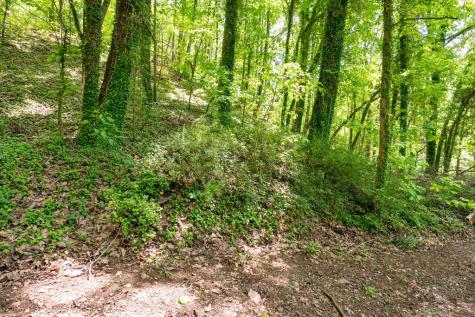 2471 Highway 52 Chatsworth GA 30705