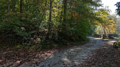 5.71 Ac Forest Service 117 Road Blairsville GA 30512