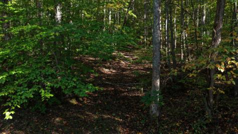5.71 Ac Forest Service 117 Road Blairsville GA 30512