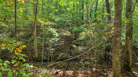 5.71 Ac Forest Service 117 Road Blairsville GA 30512