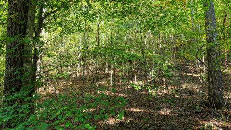 5.71 Ac Forest Service 117 Road Blairsville GA 30512