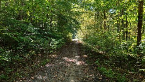 5.71 Ac Forest Service 117 Road Blairsville GA 30512