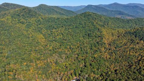 5.71 Ac Forest Service 117 Road Blairsville GA 30512