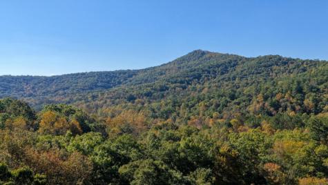 5.71 Ac Forest Service 117 Road Blairsville GA 30512
