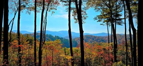 Lot 3 Gold Ridge Trail Cherry Log GA 30522