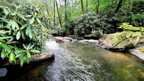 Lot 3 Gold Ridge Trail Cherry Log GA 30522