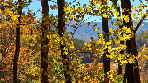 Lot 3 Gold Ridge Trail Cherry Log GA 30522