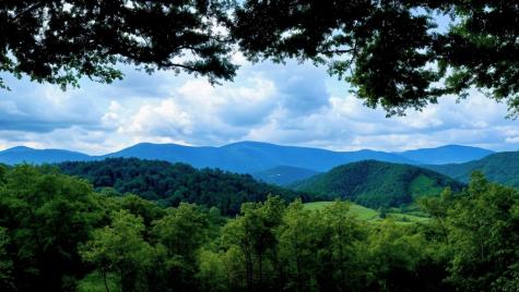 Lot 3 Gold Ridge Trail Cherry Log GA 30522