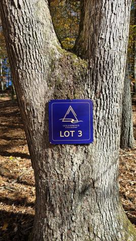 Lot 3 Gold Ridge Trail Cherry Log GA 30522