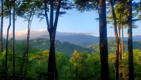 Lot 3 Gold Ridge Trail Cherry Log GA 30522