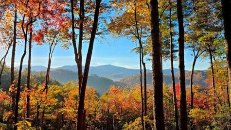 Lot 3 Gold Ridge Trail Cherry Log GA 30522