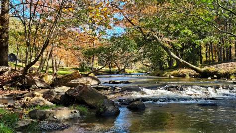 Lot 3 Gold Ridge Trail Cherry Log GA 30522