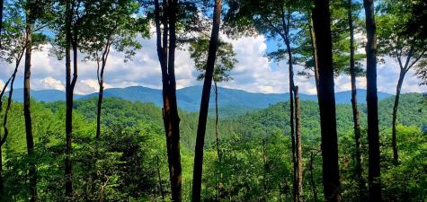 Lot 3 Gold Ridge Trail Cherry Log GA 30522