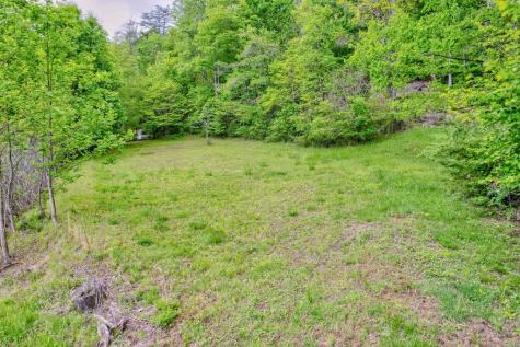 16400 Big Creek Road Cherry Log GA 30522