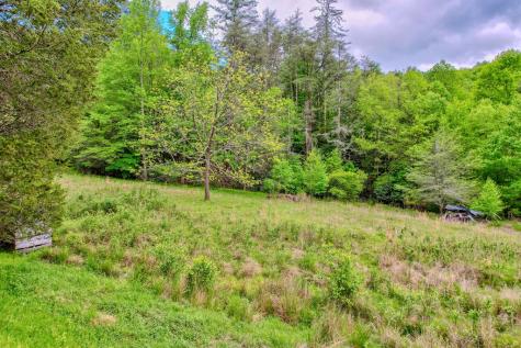 16400 Big Creek Road Cherry Log GA 30522