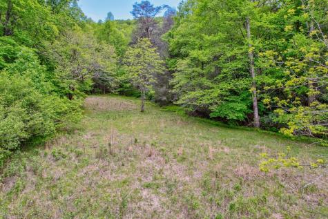 16400 Big Creek Road Cherry Log GA 30522