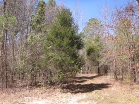 0000 W Highway 136 Talking Rock GA 30175