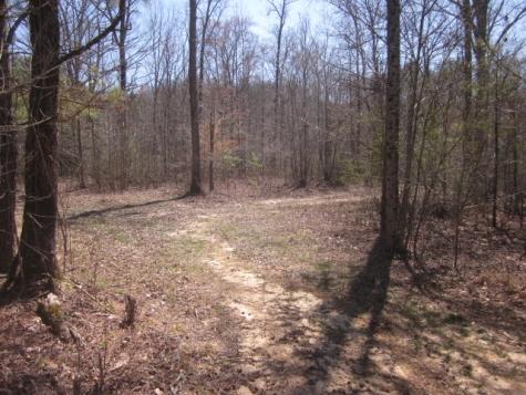 0000 W Highway 136 Talking Rock GA 30175