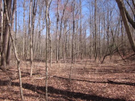 0000 W Highway 136 Talking Rock GA 30175
