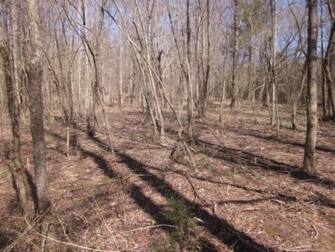 0000 W Highway 136 Talking Rock GA 30175