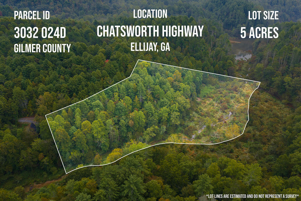 14-17 Conasauga Drive Ellijay GA 30540