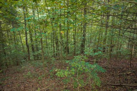 14-17 Conasauga Drive Ellijay GA 30540