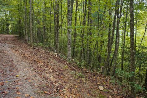 14-17 Conasauga Drive Ellijay GA 30540