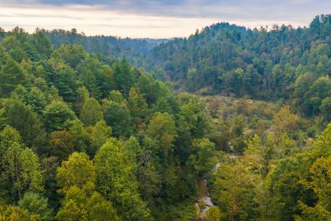 14-17 Conasauga Drive Ellijay GA 30540