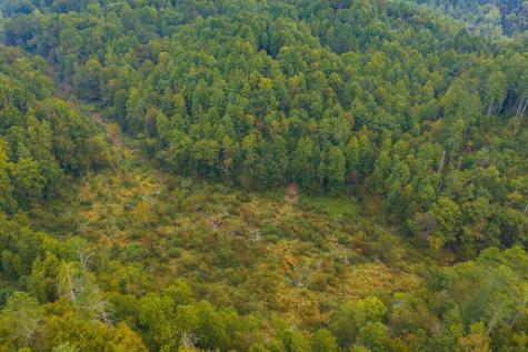 14-17 Conasauga Drive Ellijay GA 30540