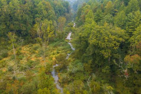 14-17 Conasauga Drive Ellijay GA 30540