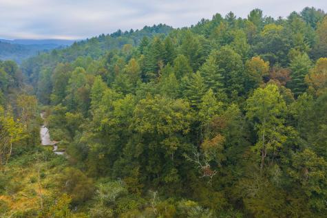 14-17 Conasauga Drive Ellijay GA 30540