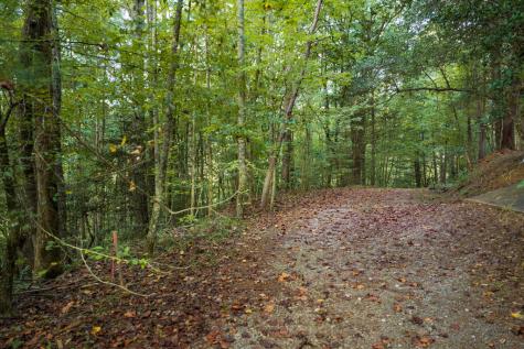 14-17 Conasauga Drive Ellijay GA 30540