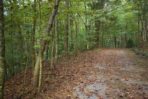 14-17 Conasauga Drive Ellijay GA 30540