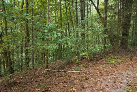14-17 Conasauga Drive Ellijay GA 30540