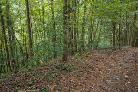 14-17 Conasauga Drive Ellijay GA 30540